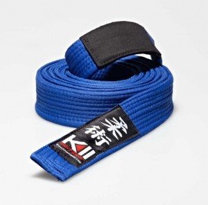 BJJ Blue Belt Ground Game