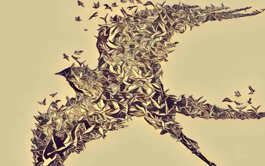 School of Grappling Systems Theory, Chaos & Complexity